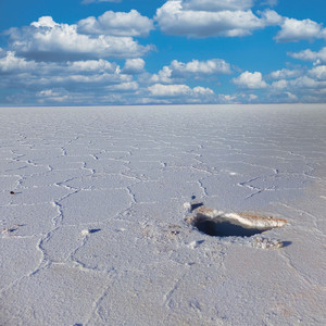 オレンジの風が吹いて