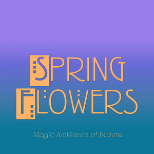 Spring Flowers
