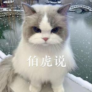 战狼吴京 (坦克没有后视镜)