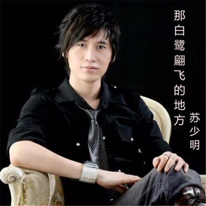 那白鹭翩飞的地方