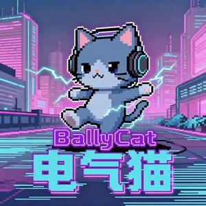 电气猫