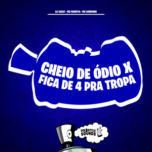 Cheio De Ódio X Fica De 4 Pra Tropa