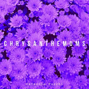 Chrysanthemums