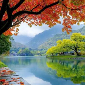 那个爱哭的姑娘