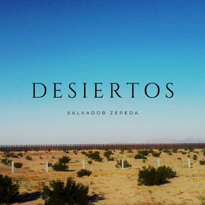Desiertos