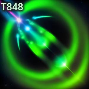 T848