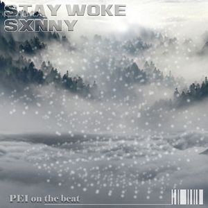 *史丹利复合痛苦 | Kenrobb Ash-1 lilAsian type beat