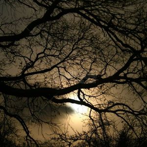 【FREE】暗黑Trap beat 克苏鲁type