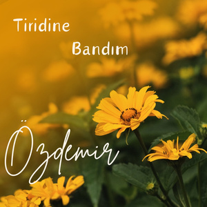 Tiridine Bandım