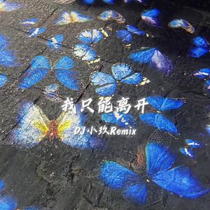 我只能离开（DJ小玖Remix）