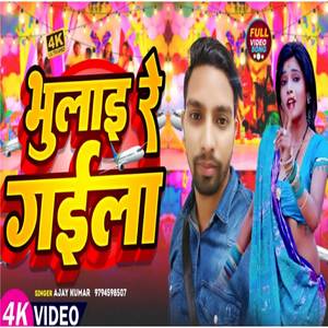 Bhulai Re Gaila