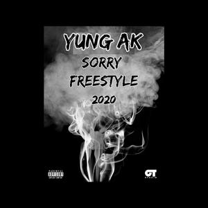 Sorry Freestyle