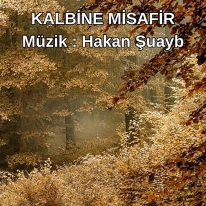 Kalbine Misafir - Enstrümantal