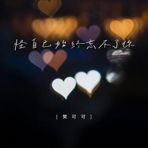 怪自己始终忘不了你