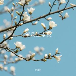 清风上南枝 (Cover 顾叮当)