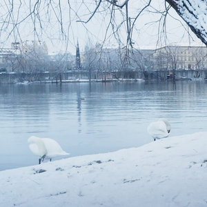 幼稚完（翻自 林峰）
