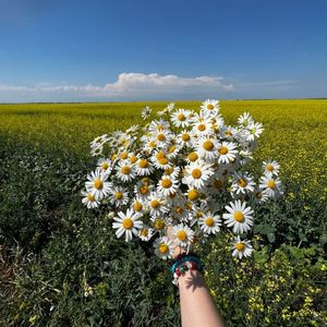 ''Enjoy Life'' Indie Pop x Bedroom Pop Type Beat