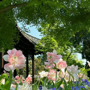 时光留下的印记