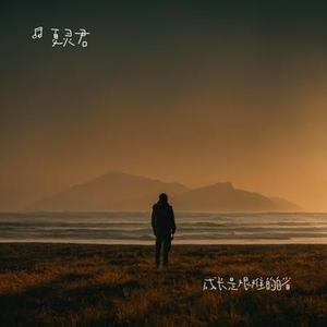 任何寻求安慰的行为都不会让你成长