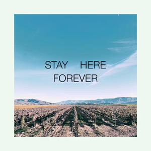Stay Here Forever