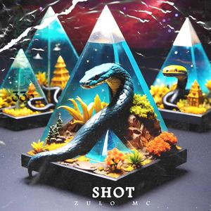 Shot