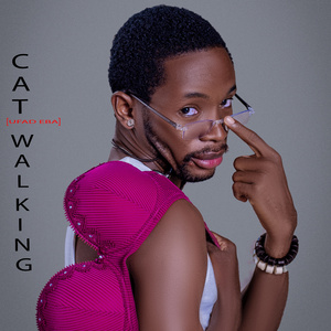 Cat walking (Ufad Eba)