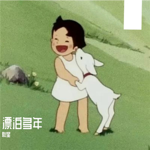 漂泊多年