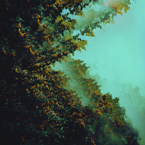 Metempsychosis