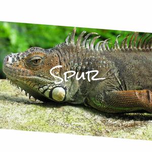 Commonwealth Itinerant