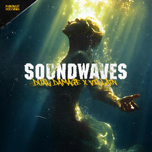 Soundwaves (Pro Mix)