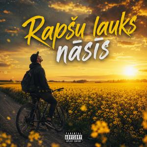 Rapšu lauks nāsīs