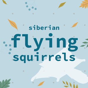 Siberian Flying Squirrels