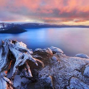 深海埋葬鱼的泪