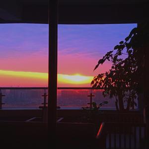 不想（Freestyle）