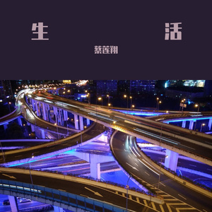 这一生关于你的风景-蔡莲翔