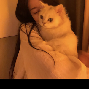 醉千年Dj版（片段）