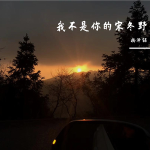我不是你的宋冬野