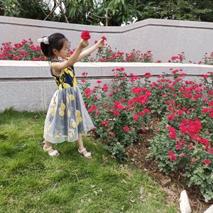 最美三月天(民歌版)