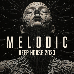 Discothèque (Late Night Bar)