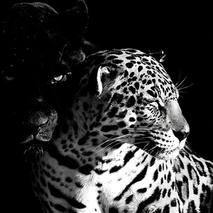 Versatile (Bass Boosted)