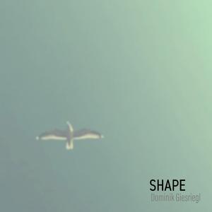 Shape
