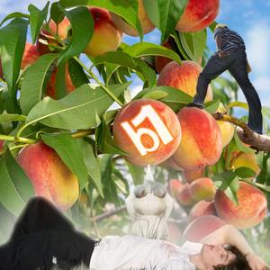 Peach Tree (feat. Pierrindo)