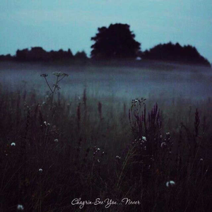 My Love in the Dark Heart of the Night