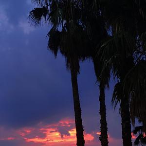 夏日（prod. Furyl, 4_Chords，）（Demo）