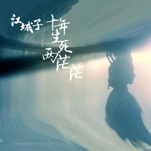 江城子·十年生死两茫茫