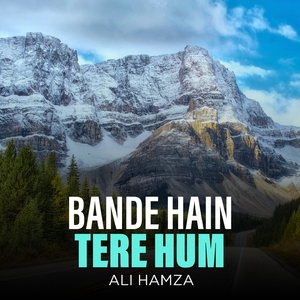 Bande Hain Tere Hum