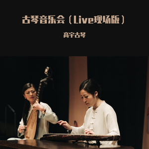 平沙落雁（音乐会现场版）