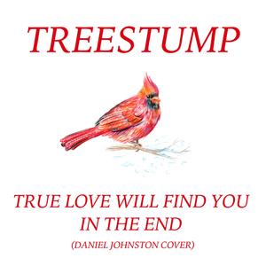 True Love Will Find You in the End