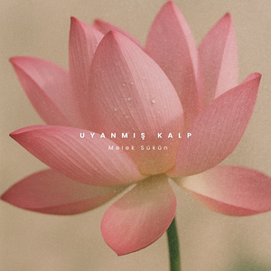 Sınırsız Buluşma