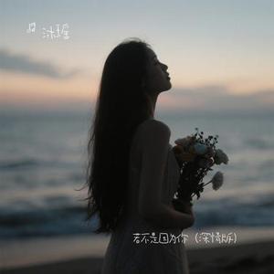 若不是因为你 (Cover 林栖)